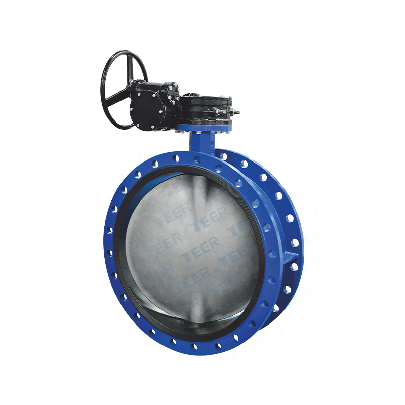 Double eccentric rubber butterfly valve